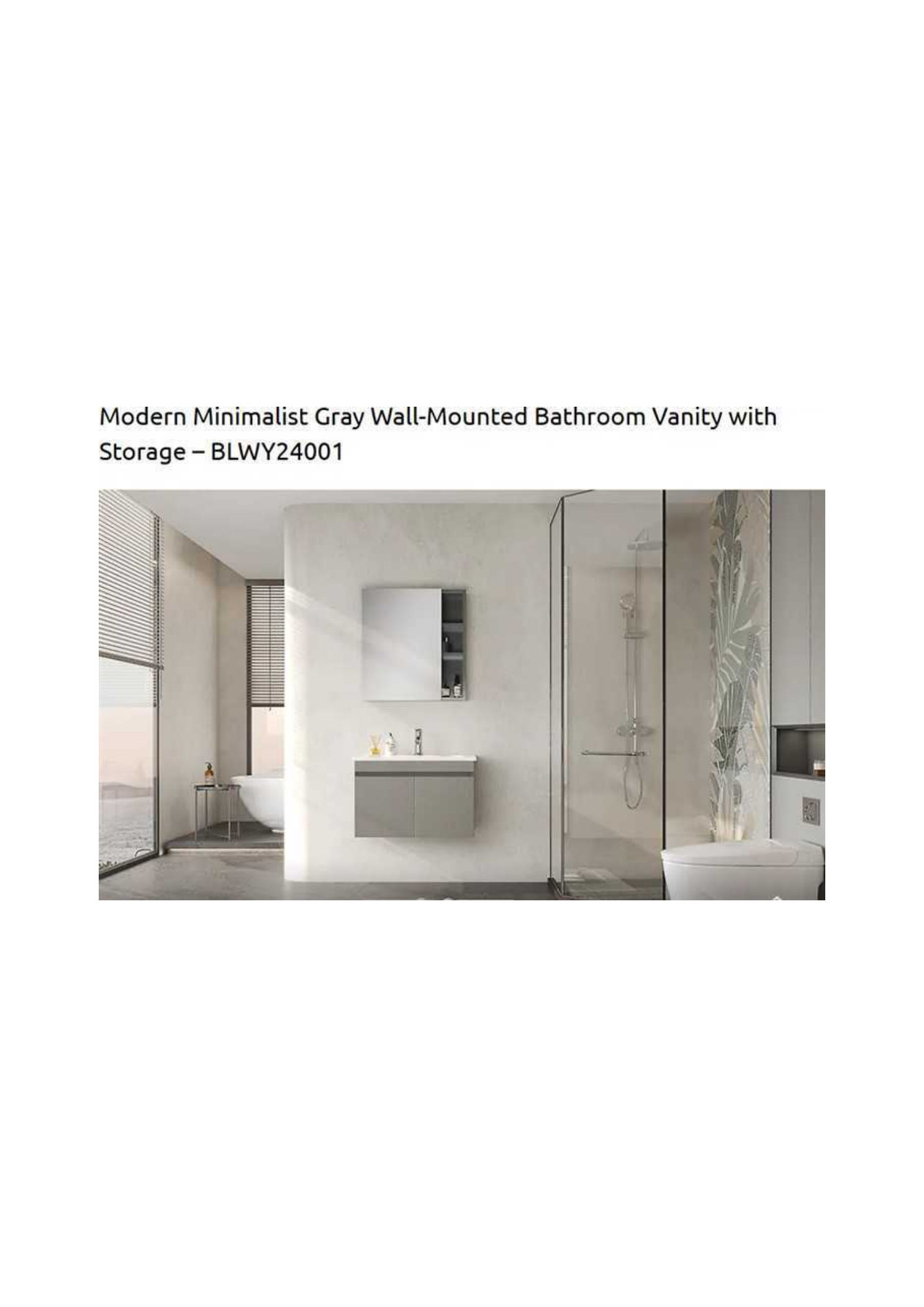 Modern Minimalist Gray Wall-Mounted Vanity with Storage BLWY24001
